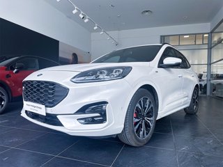 FORD Kuga 1.5 ecoblue st-line 2wd 120cv auto