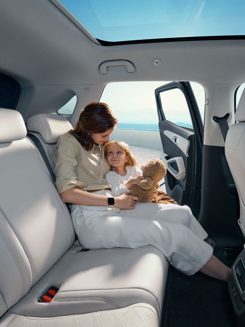 9 Byd Atto2 Dmi Interior Chiappetta Rende Cosenza Calabria