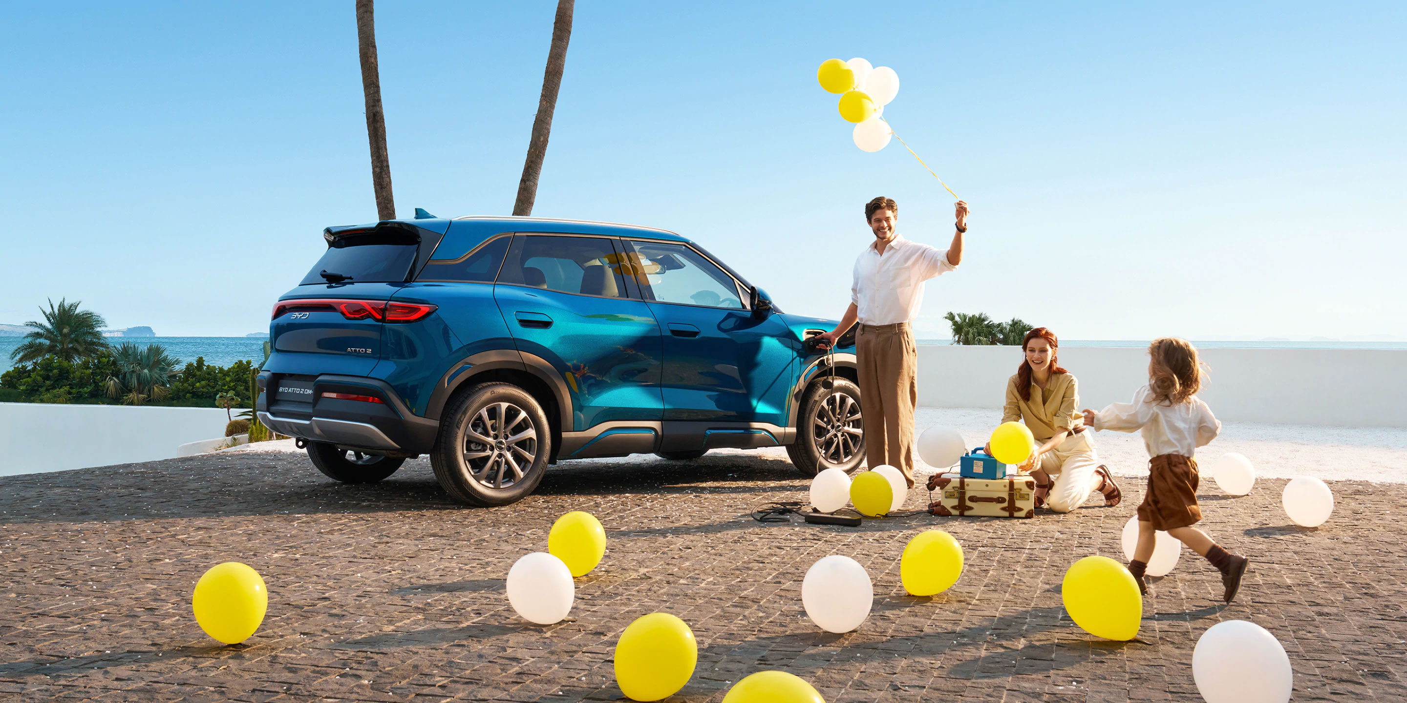 19 Byd Atto2 Dmi Charging Chiappetta Rende Cosenza Calabria