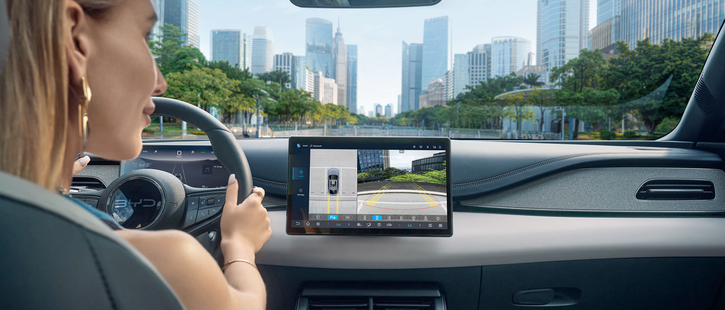 Sicurezza Byd Seal 6 Dmi Chiappetta Rende Cosenza Calabria