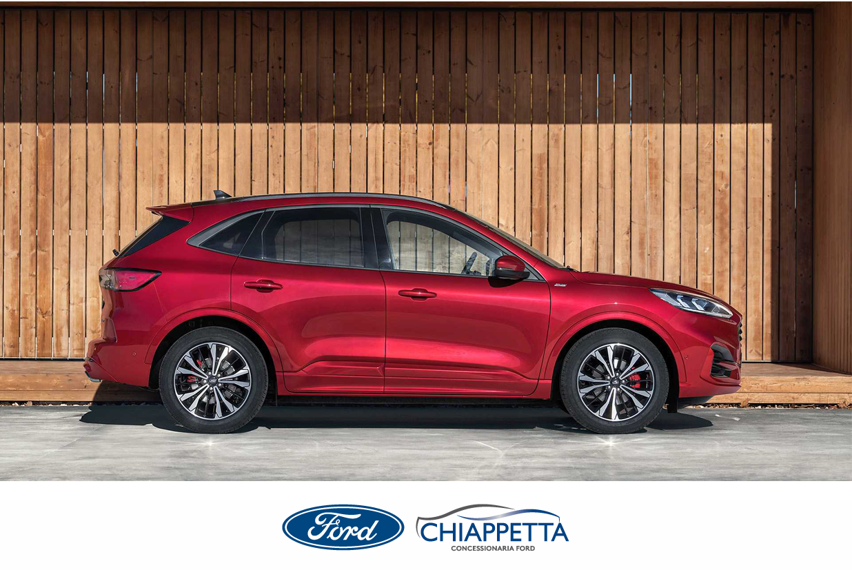 Kuga Plug In Hubryd Cosenza