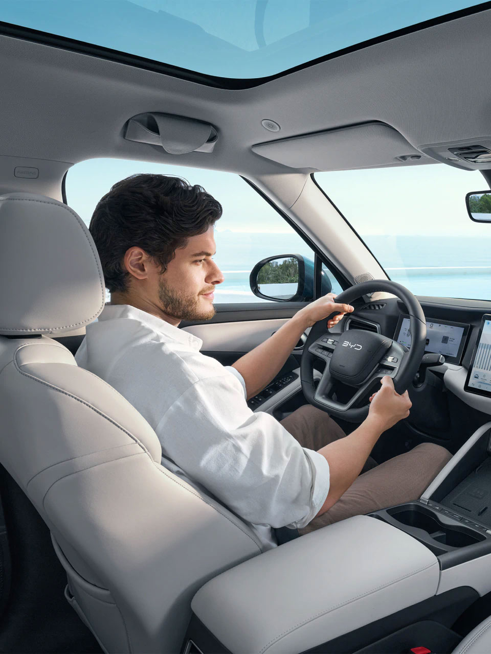 8 Byd Atto2 Dmi Interior Chiappetta Rende Cosenza Calabria