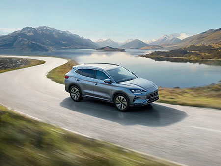 BYD CHIAPPETTA IMG PURIFICATION Cosenza Rende Calabria