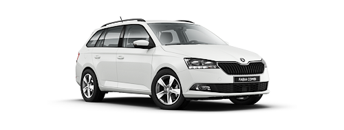 Fabia Wagon (1)