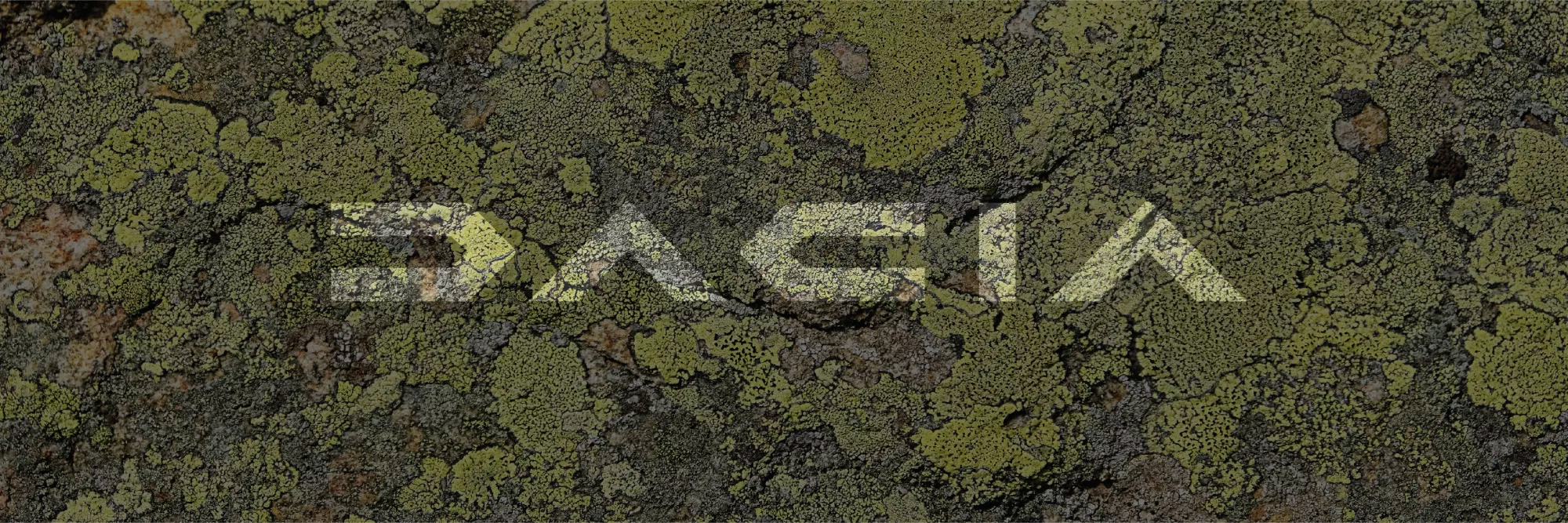 J Header Dacia Chiappetta Risultati Italia