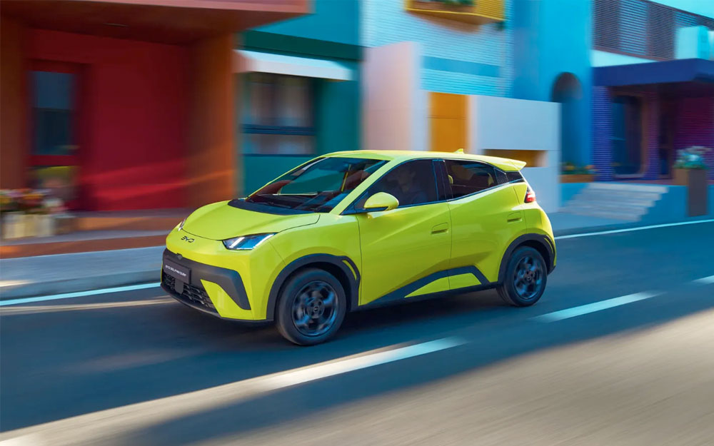 Dolphin Surf Byd Chiappetta Rende Cosenza Calabria